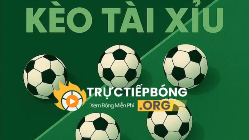 Chi tiết về kèo tài xỉu bóng đá và tỷ lệ kèo