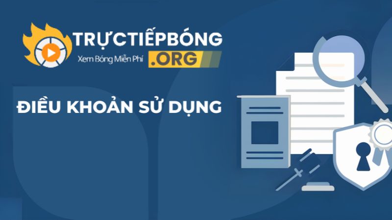 Đăng nhập và sử dụng trang web Tructiepbong.org