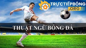 Tìm hiểu về thuật ngữ bóng đá là gì